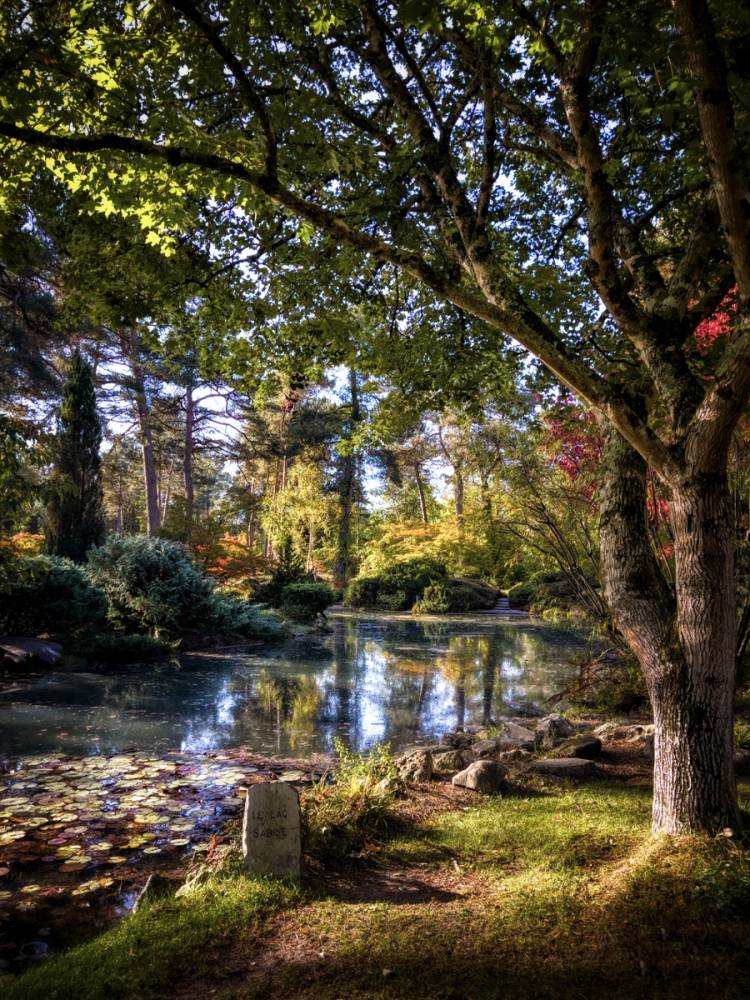 Autumn photo competition, Arboretum des Grandes Bruyères, Ingrannes (45) - France