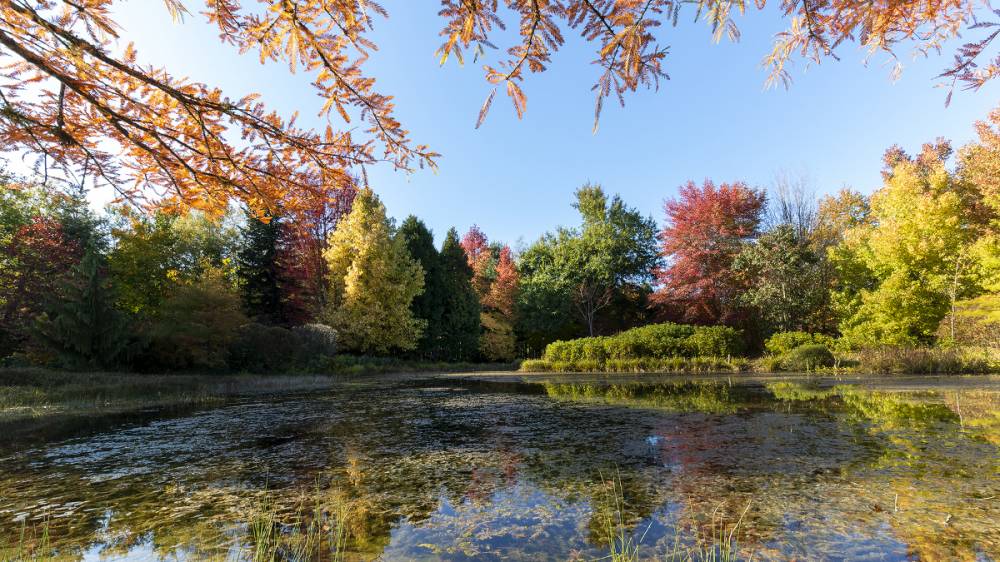 Autumn Sundays, Arboretum des Grandes Bruyères, Ingrannes (45) - France