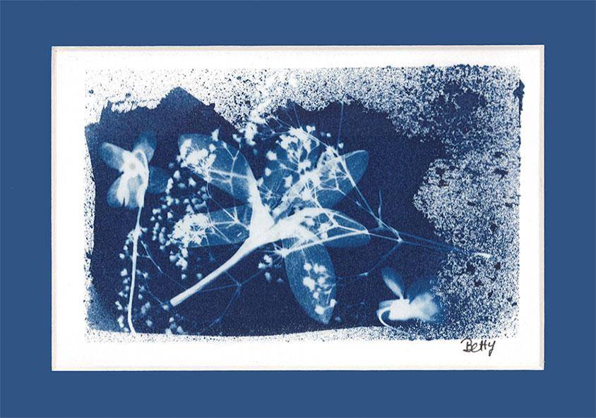 Exposition de Betty Damestoy - Giroussens
