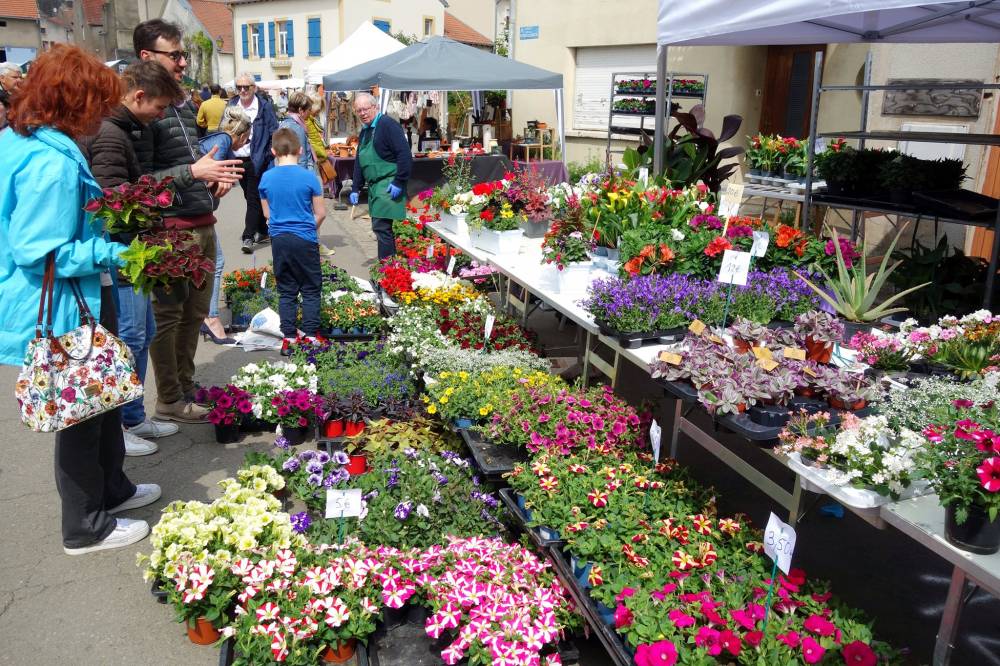 29ème marchés aux fleurs et décorations de jardins, Rodemack, RODEMACK (57)