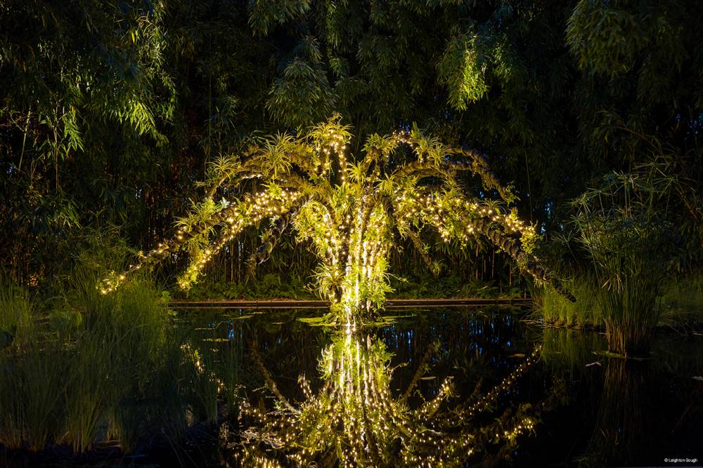 Nocturnes au jardin - Chaumont-sur-Loire