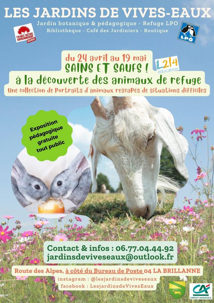 EXPOSITION TOUT PUBLIC ”SAINS ET SAUF ! A la découverte des animaux de refuge” - LA BRILLANNE 