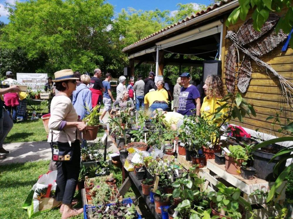 Troc Plantes - Tournefeuille