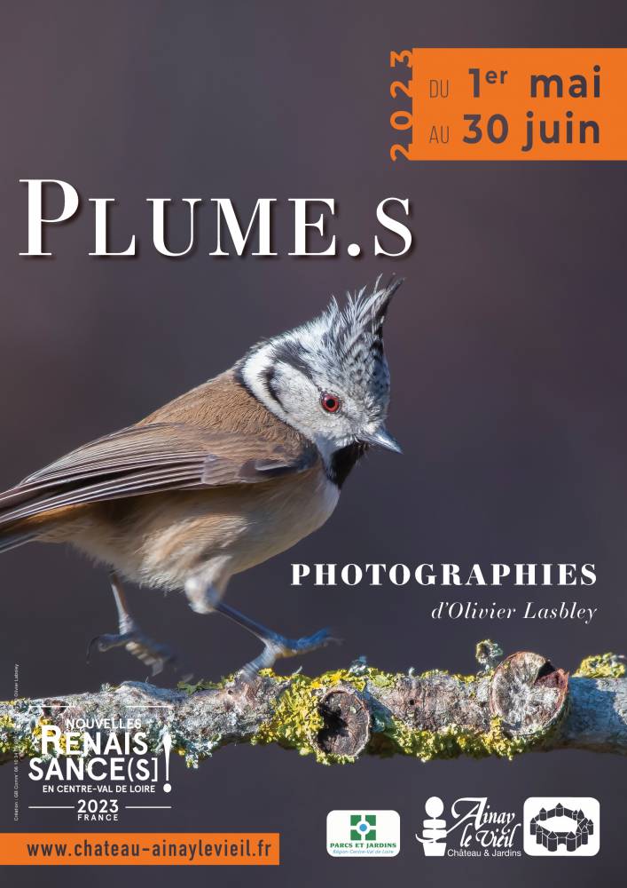 Exposition photographique : « Plume.s » par Olivier Lasbley, Parc et Jardins du Château d'Ainay Le Vieil, Ainay-Le-Vieil (18)