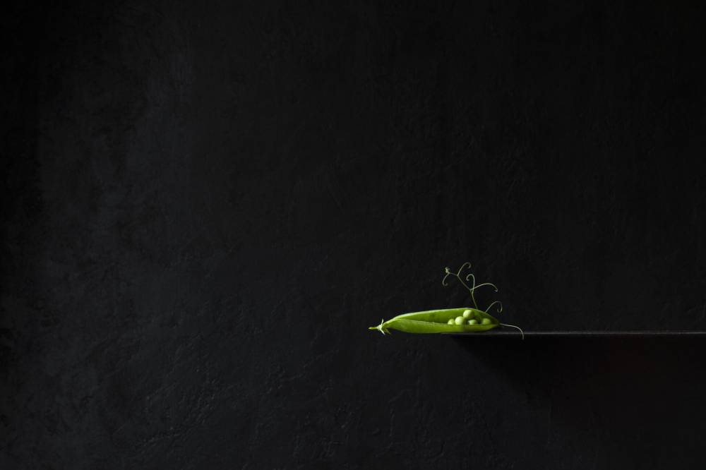Inspirations au potager : exposition photographique de Franck Hamel - Saint-Martin-de-Boscherville