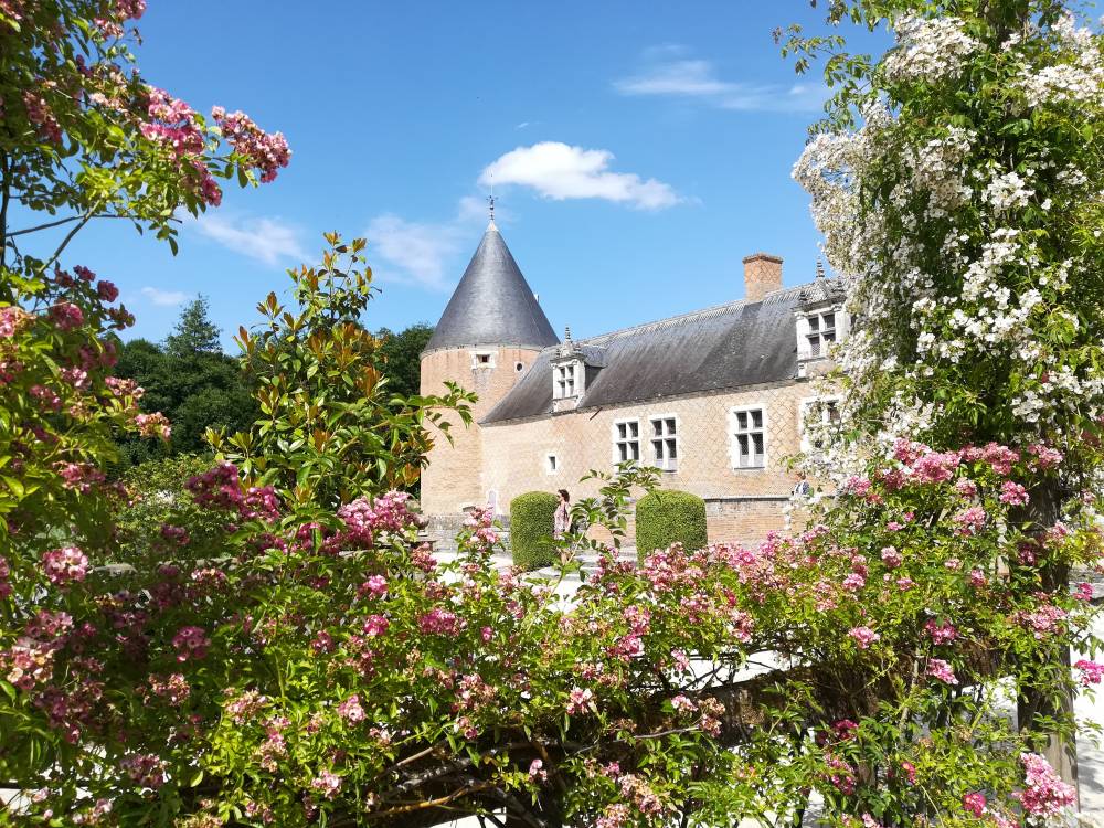 Route de la Rose in celebration, Parc et Jardins du Château de Chamerolles, Chilleurs aux Bois (45) - France