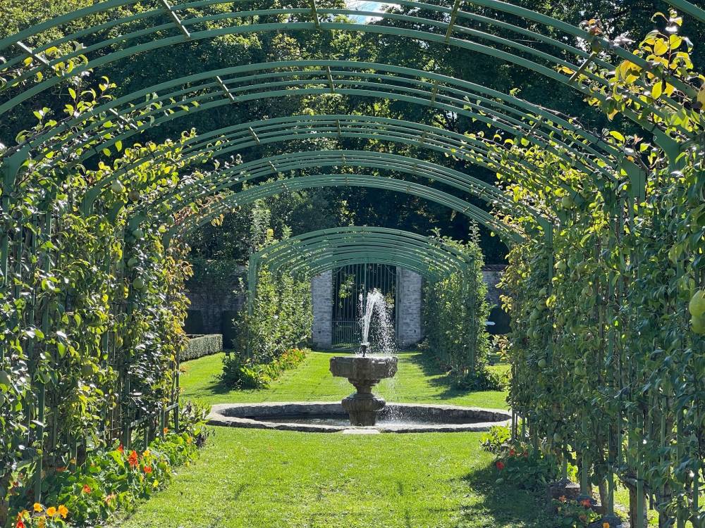 Visite des vergers-potagers et du parc du château de Montigny-sur-Aube - Montigny-sur-Aube