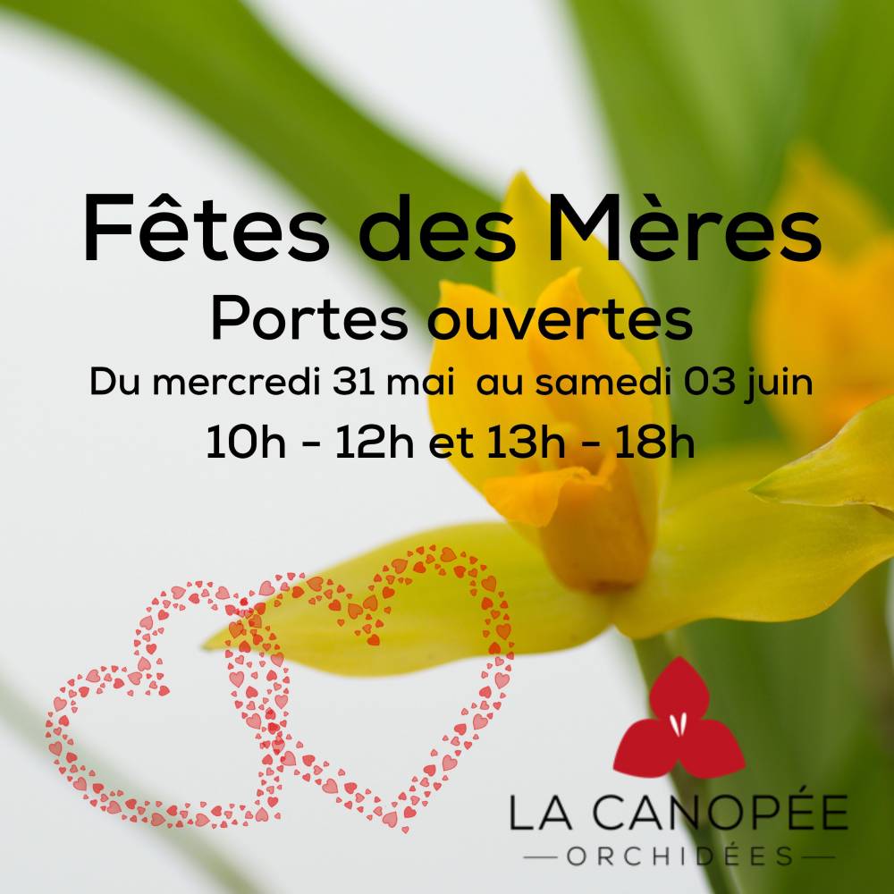 Portes ouvertes Fêtes des Mères, La Canopée Orchidées, Plougastel-Daoulas (29)