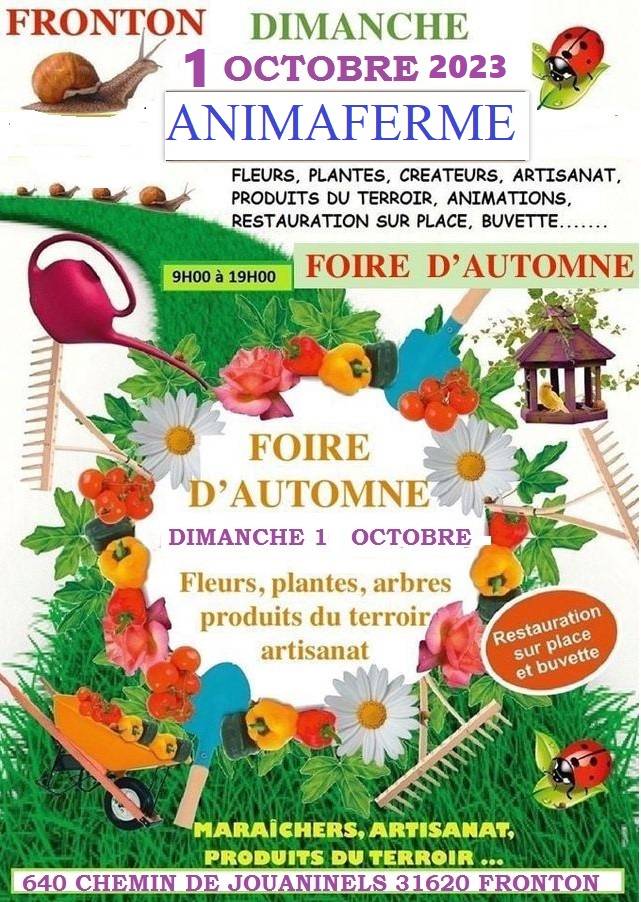 Grande foire aux plantes d'automne - Fronton