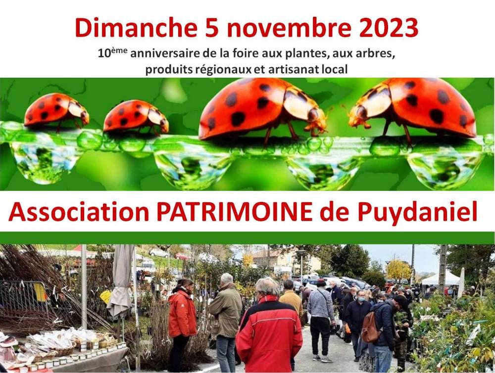 Foire aux plantes et artisanat local - PUYDANIEL
