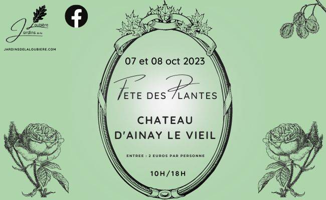 Fête des plantes au château d'Ainay le Vieil - Ainay le Vieil