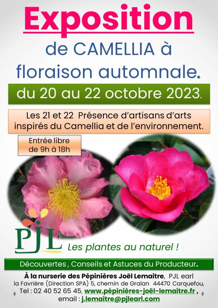 Exposition de Camellia à floraison automnale, Pépinières Joël Lemaitre, Carquefou (44)
