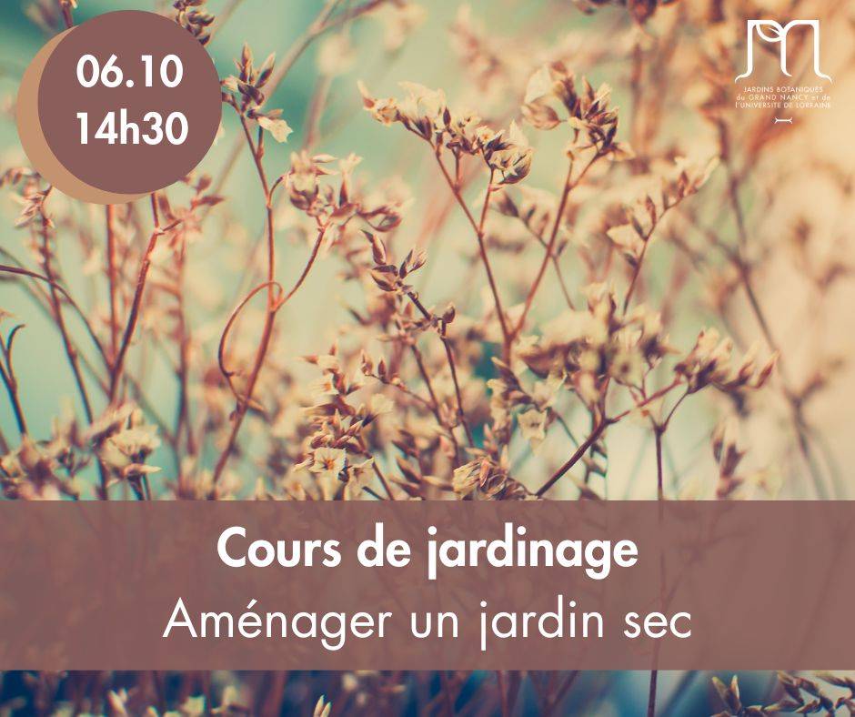 Aménager un jardin sec - Villers-lès-Nancy