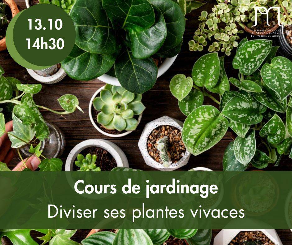 Diviser ses plantes vivaces, Jardin botanique Jean-Marie Pelt, Villers-lès-Nancy (54)