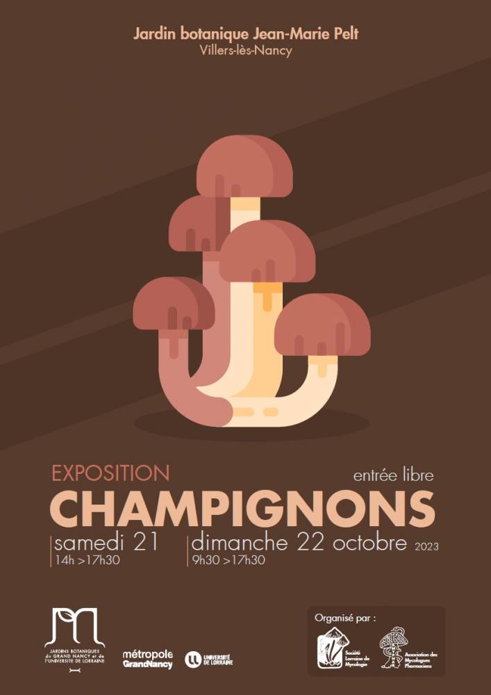 Exposition Champignons - Villers-lès-Nancy