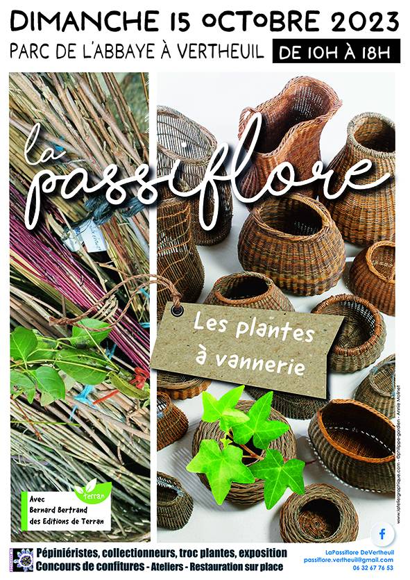 Passiflore - Vertheuil en Médoc