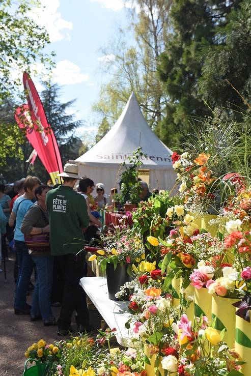 Fête des plantes St Etienne - Saint-Etienne