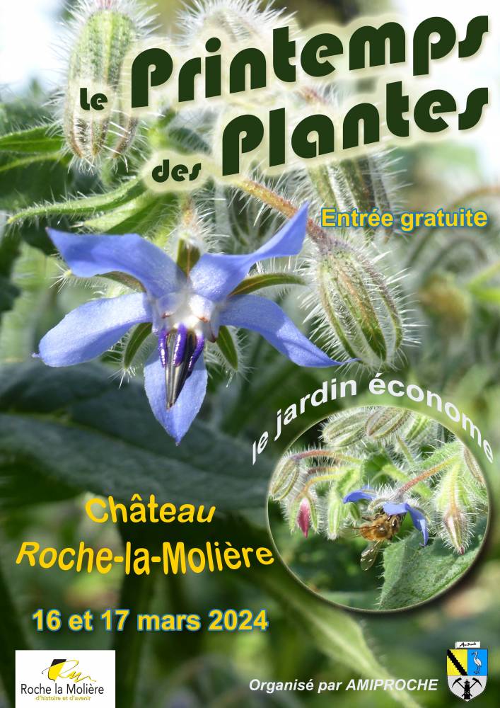 Le Printemps des Plantes au château de Roche-la-Molière - Roche-la-Molière - 42230