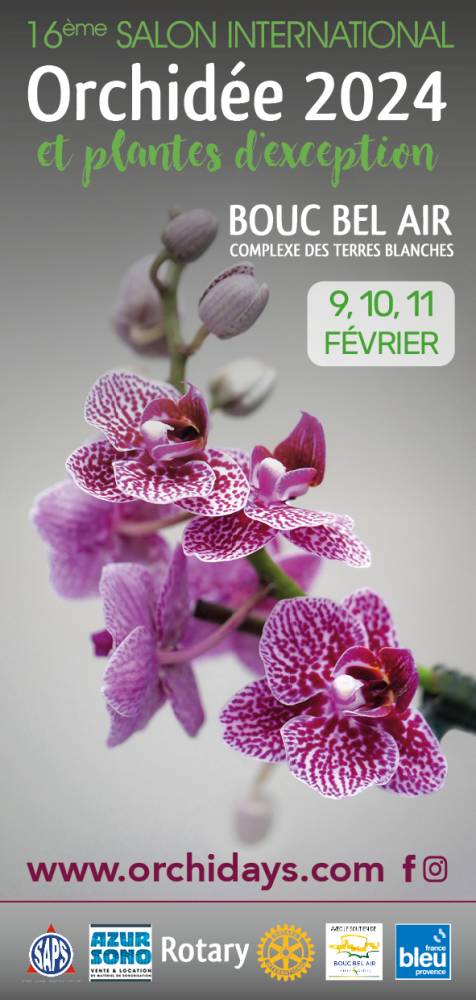 16ème salon international de l'Orchidée - Orchidays, Salle des Terres blanches, Bouc Bel Air (13)