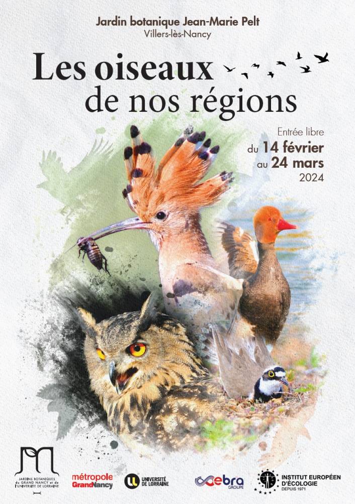 Les oiseaux de nos régions, Jardin Botanique Jean-Marie Pelt, Villers-lès-Nancy (54)