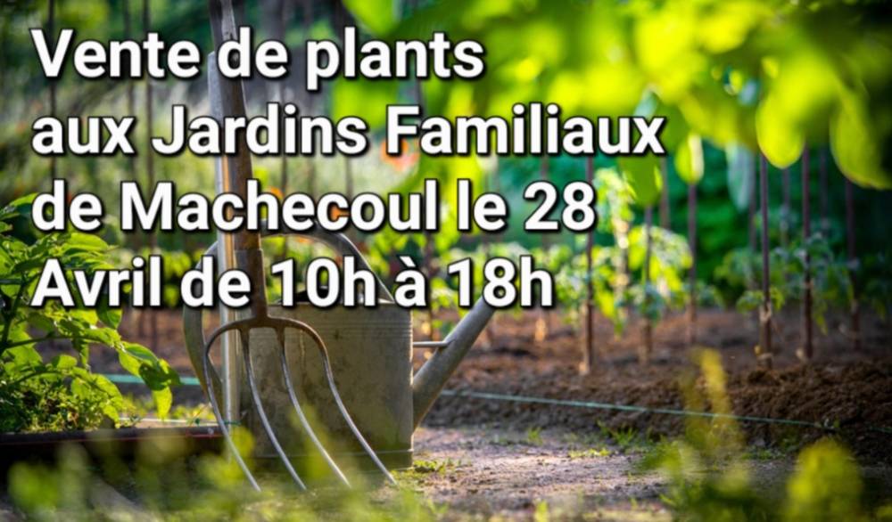 Vente de plants, Jardins Familiaux, Machecoul (44)