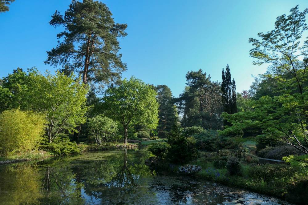 Visites estivales, Arboretum des Grandes Bruyères, Ingrannes (45)