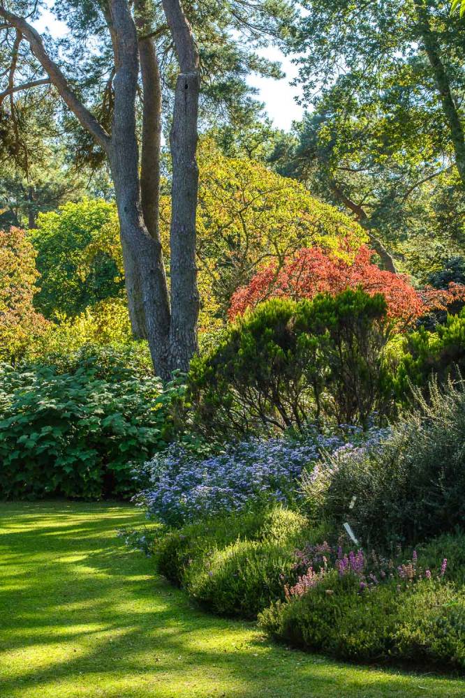 Belles soirées d'été, Arboretum des Grandes Bruyères, Ingrannes (45)