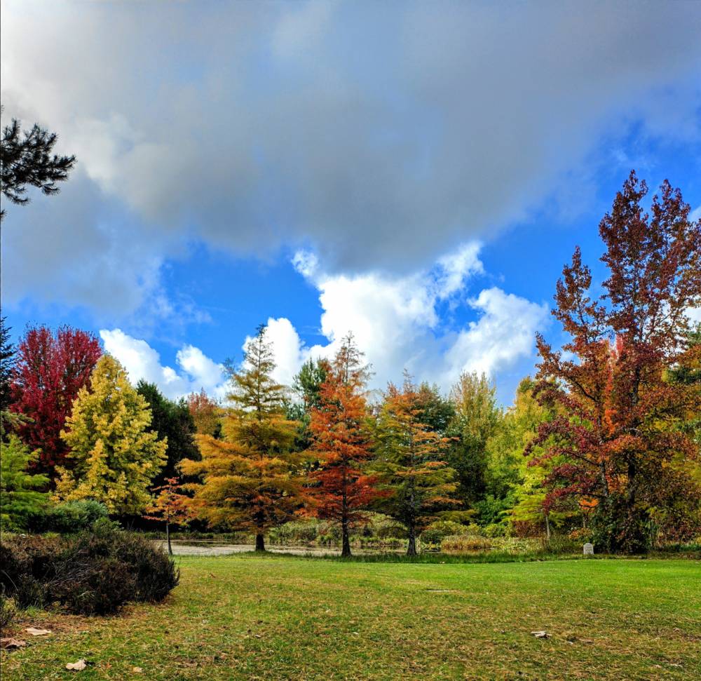 Dimanches d'Automne - Ingrannes