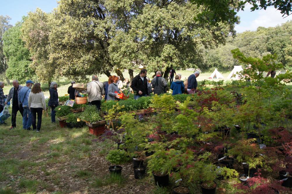 26ème Bourse aux plants - Rousson