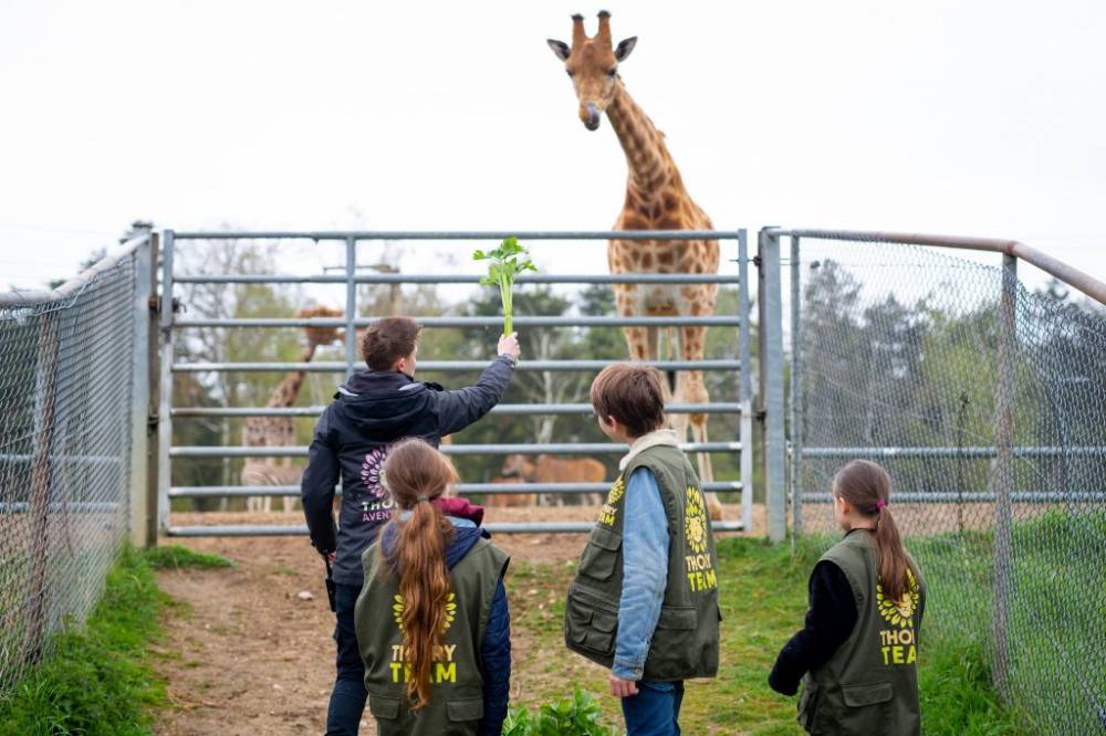Le zoo de Thoiry lance la safari academy !, Jardins Historique et Botanique du Château de Thoiry, Thoiry-en-Yvelines (78)