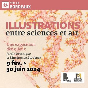 ILLUSTRATIONS, entre sciences et art, Jardin Botanique de Bordeaux, Bordeaux (33)