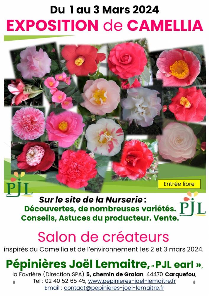 Exposition de fleurs de Camellia, Pépinières Joël Lemaitre, Carquefou (44)