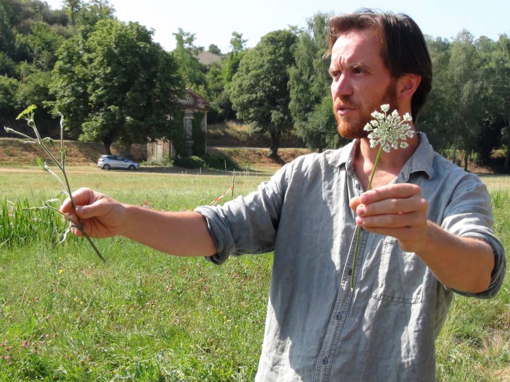 Découverte des plantes sauvages et dégustation  - Chavaniac-Lafayette 