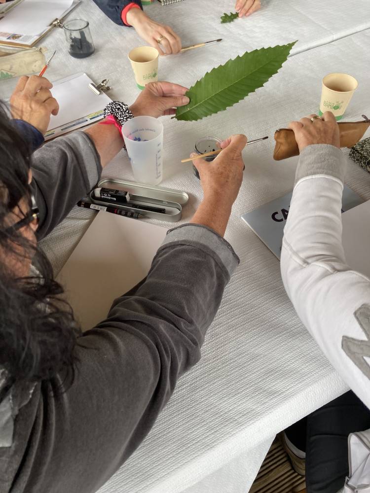  Atelier - Spécial famille « Dessin botanique » - Saint Chely d'Aubrac