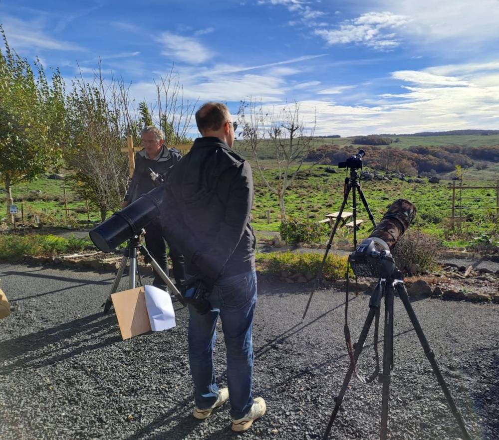 Soirée Astro/Nature « Plantes emblématiques de l'Aubrac & étoiles filantes »  - Saint Chely d'Aubrac