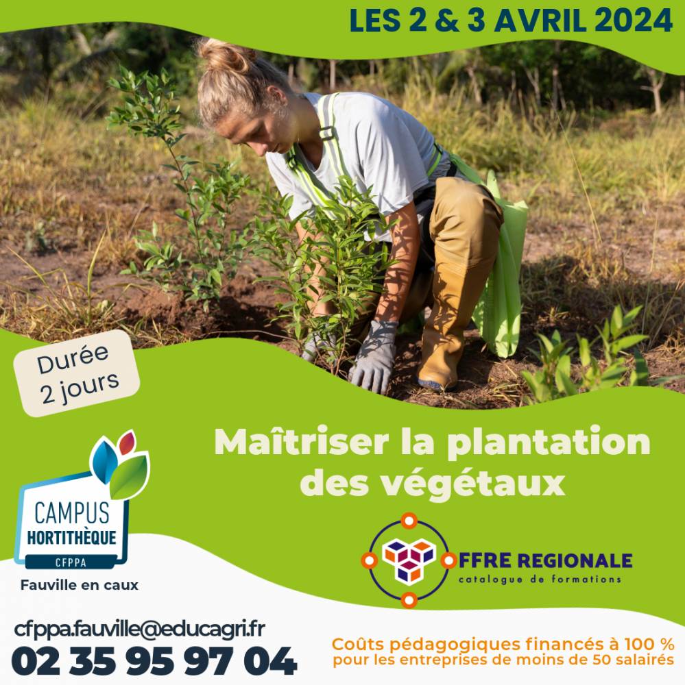 Maîtriser la plantation des végétaux