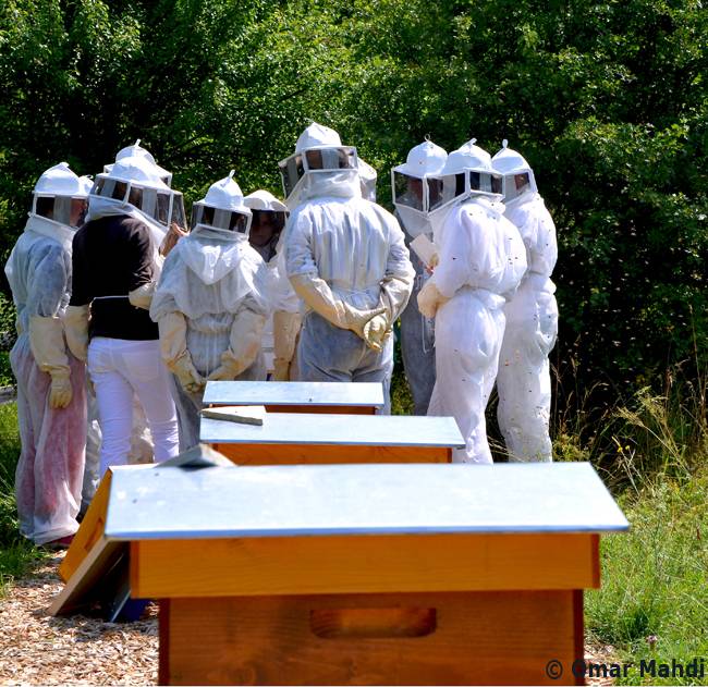 Stage Initiation à l’apiculture écologique - Mens
