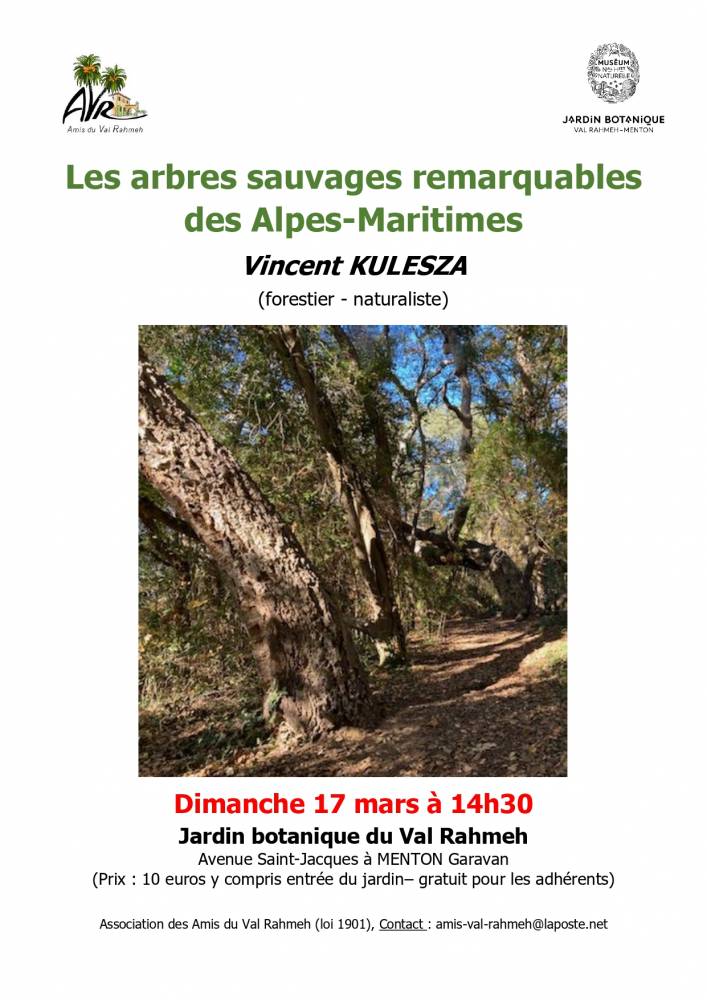 Conférence ”Les arbres sauvages remarquables des Alpes-Maritimes” - Menton