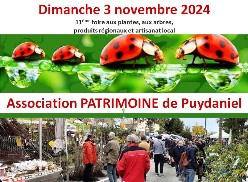 Foire aux plantes - PUYDANIEL