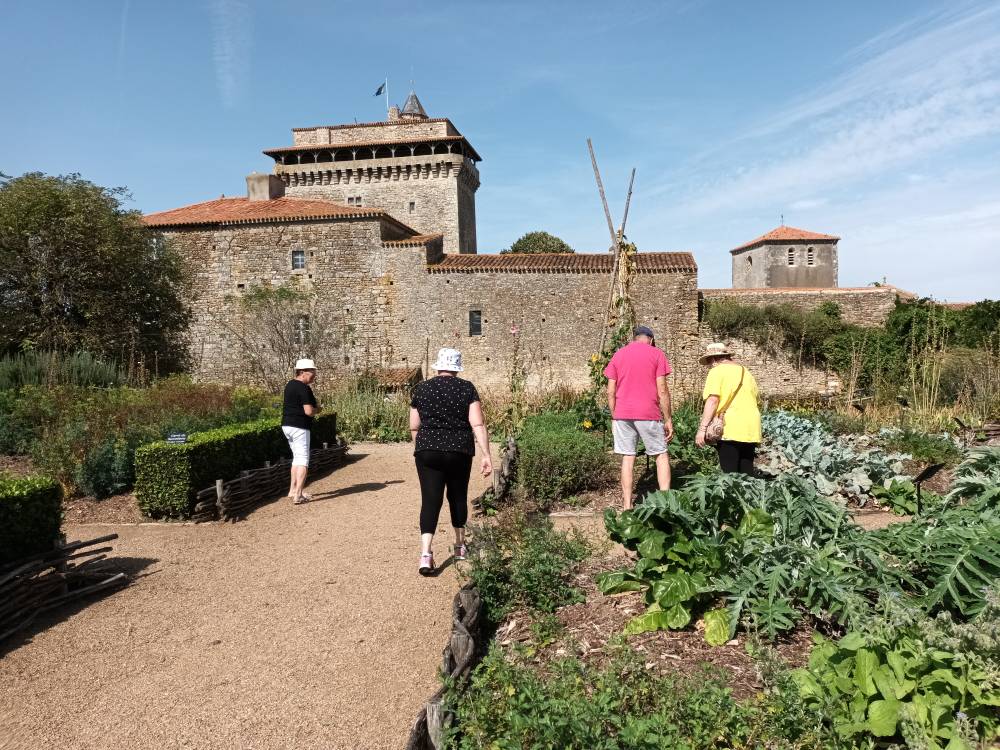 Visite commentée du jardin d'inspiration médiévale