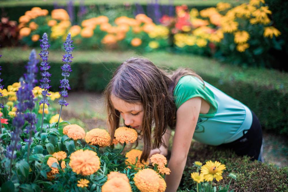 Rendez-vous aux jardins - Bessé-sur-Braye