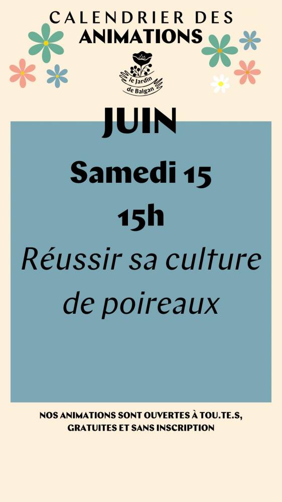 Réussir sa culture de poireaux - Séné