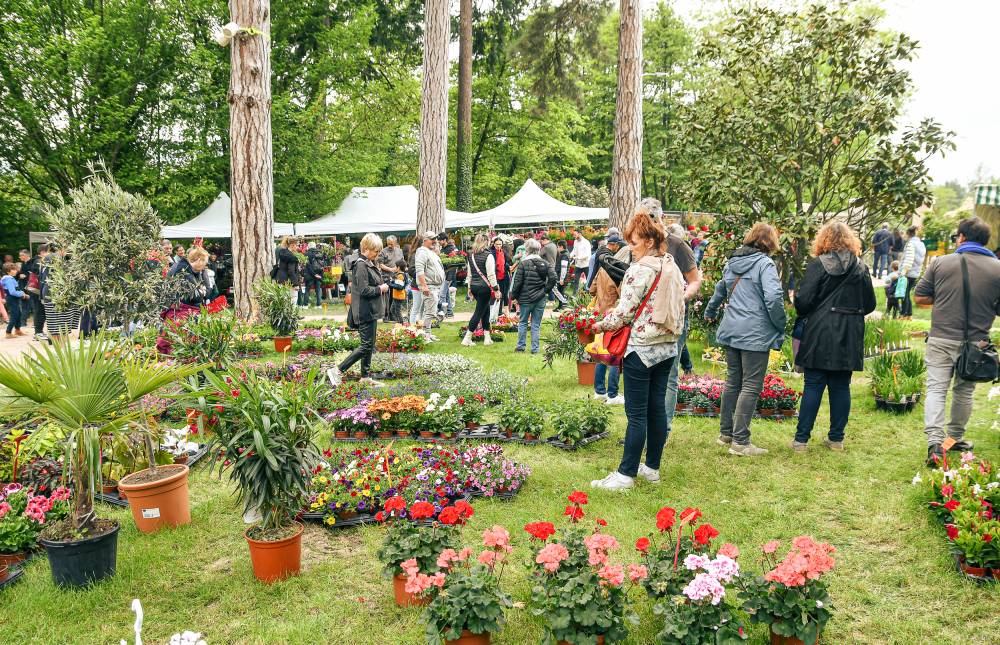 Fête des Fleurs et des produits du terroir - Riorges