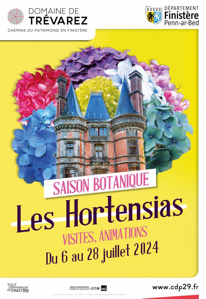 Saison botanique - Les hortensias  - Saint-Goazec