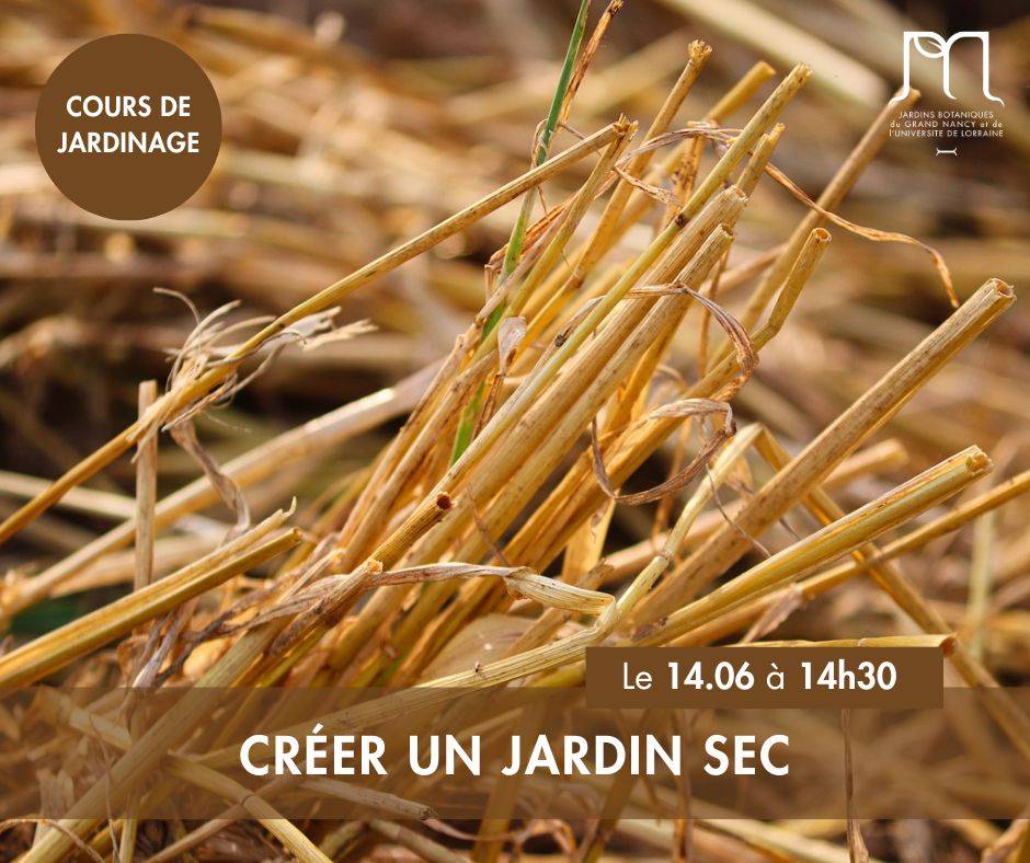 Créer un jardin sec