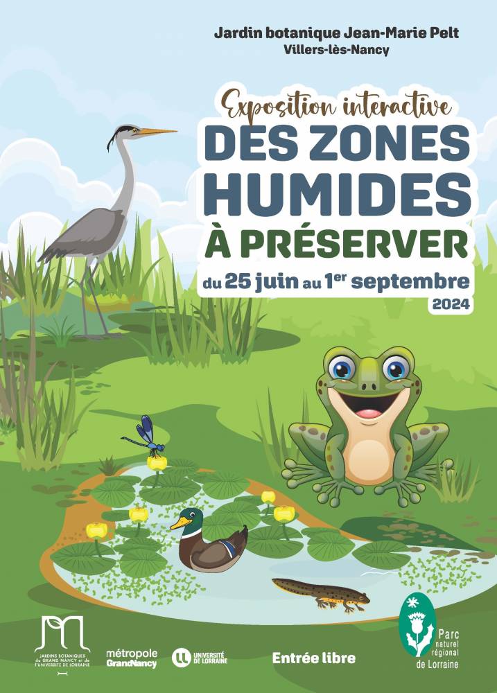 Des zones humides à préserver