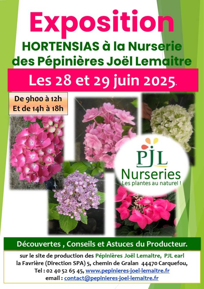 Exposition Hortensia - Carquefou
