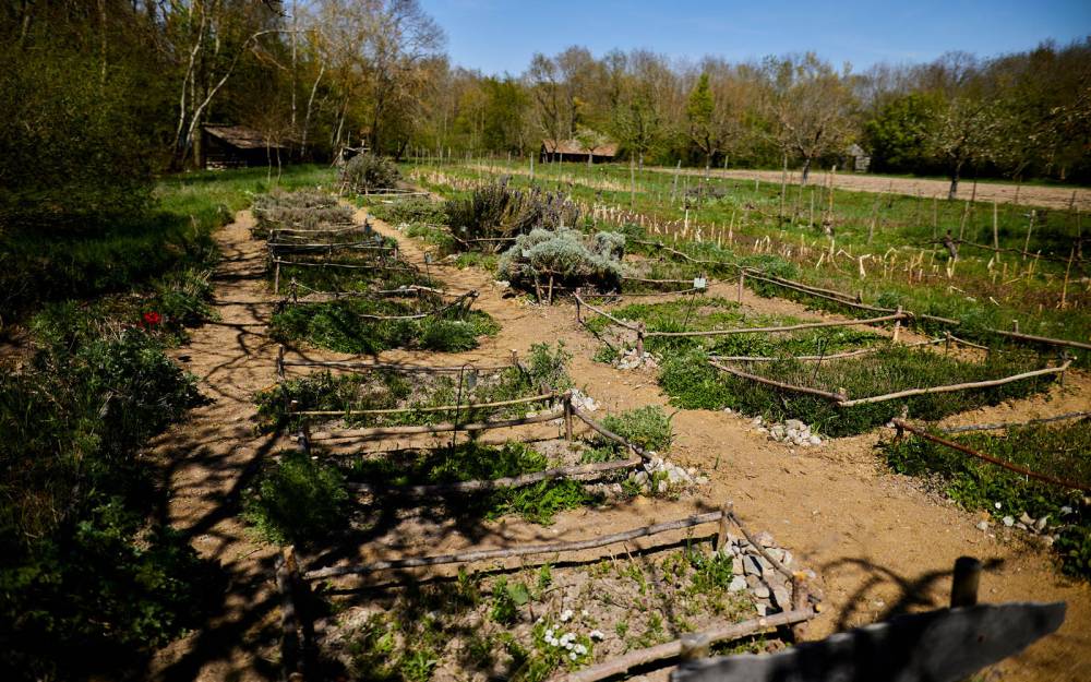 Secrets et vertus des plantes - UNGERSHEIM