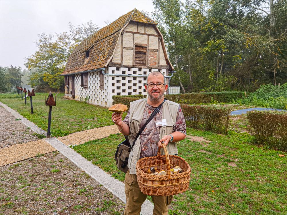 Les champignons - UNGERSHEIM