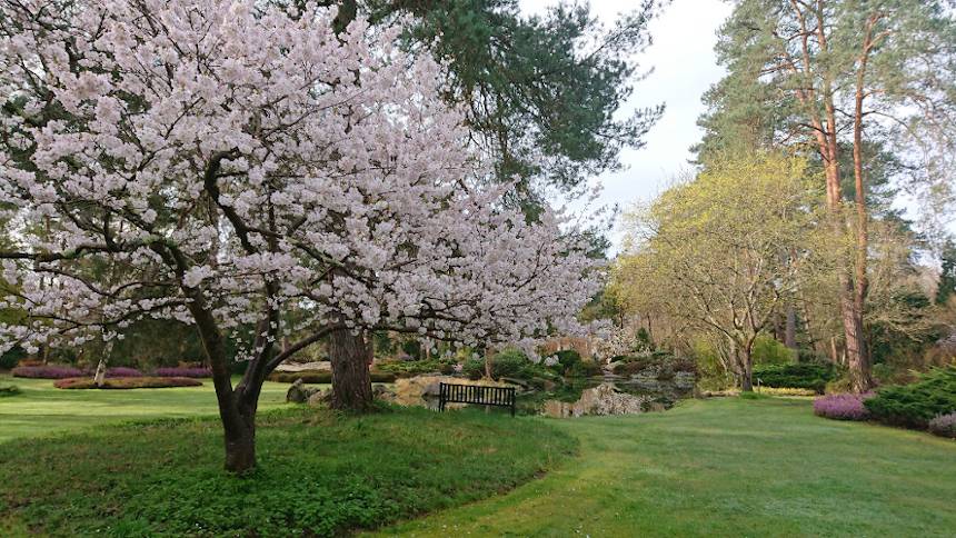 Bienvenue dans votre Arboretum - Ingrannes